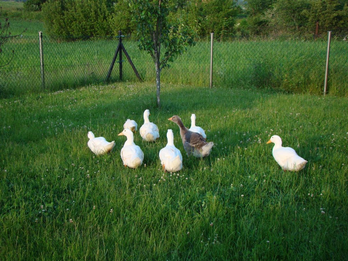 Pokoje Przy Kominie Piecki  Exterior foto